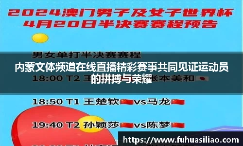 内蒙文体频道在线直播精彩赛事共同见证运动员的拼搏与荣耀